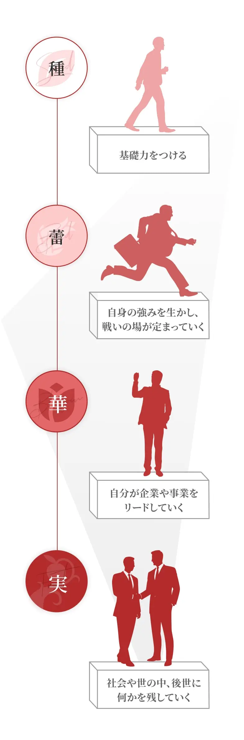 4つのステージの図解　ステージ1「種」：基礎力を付ける、ステージ2「蕾」：自身の強みを生かし、戦いの場が定まっていく、ステージ3「華」：自分が企業や事業をリードしていく、ステージ4「実」：社会や世の中、後世に何かを残していく